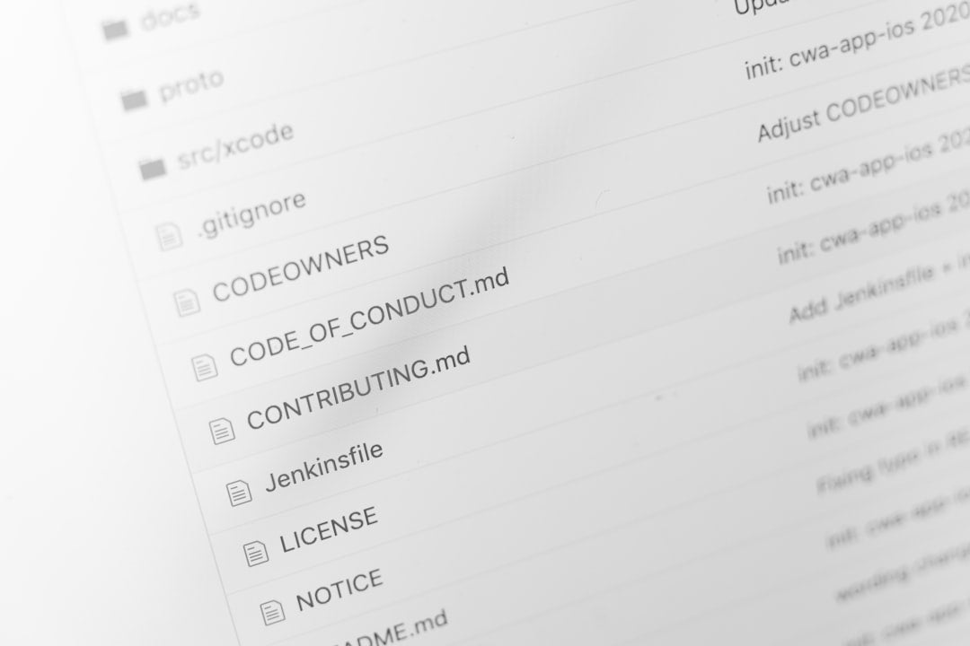 Consular Processing Support