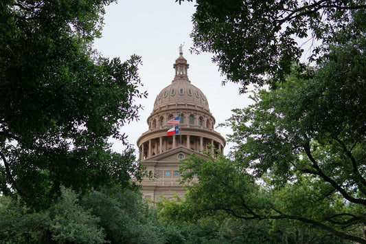 Texas state capitol building framed by trees